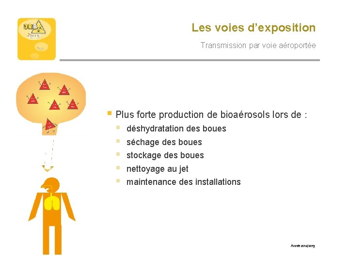 Les voies d’exposition Transmission par voie aéroportée § Plus forte production de bioaérosols lors