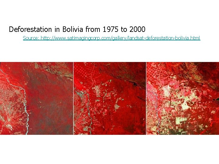 Deforestation in Bolivia from 1975 to 2000 Source: http: //www. satimagingcorp. com/gallery/landsat-deforestation-bolivia. html 