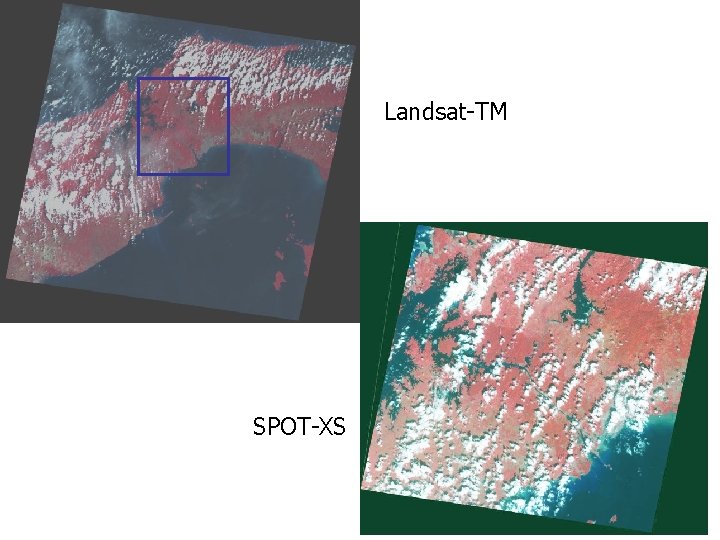 Landsat-TM SPOT-XS 
