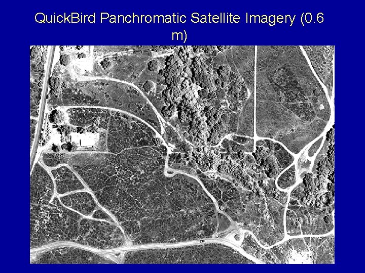 Quick. Bird Panchromatic Satellite Imagery (0. 6 m) 0. 6 m 