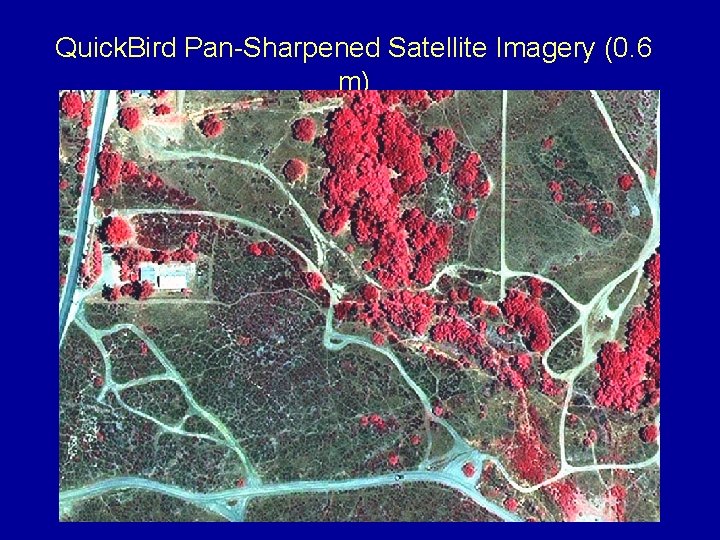 Quick. Bird Pan-Sharpened Satellite Imagery (0. 6 m) 0. 6 m 