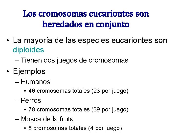 Los cromosomas eucariontes son heredados en conjunto • La mayoría de las especies eucariontes Los cromosomas eucariontes son heredados en conjunto • La mayoría de las especies eucariontes