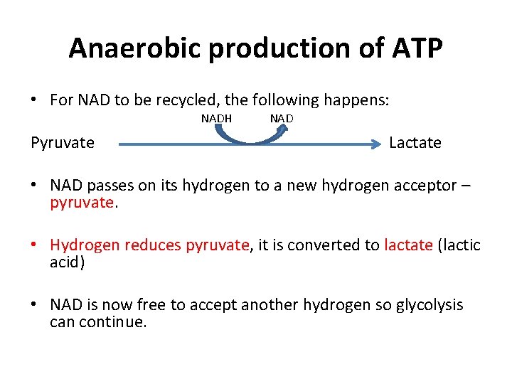 Anaerobic production of ATP • For NAD to be recycled, the following happens: NADH