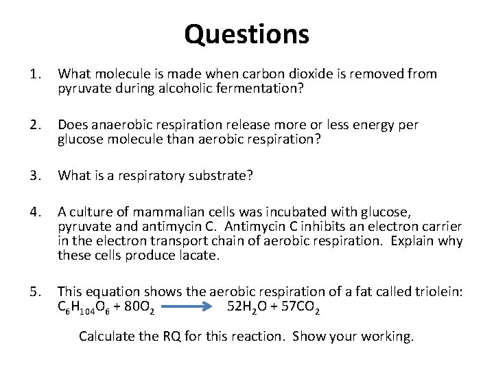 Questions 1. What molecule is made when carbon dioxide is removed from pyruvate during
