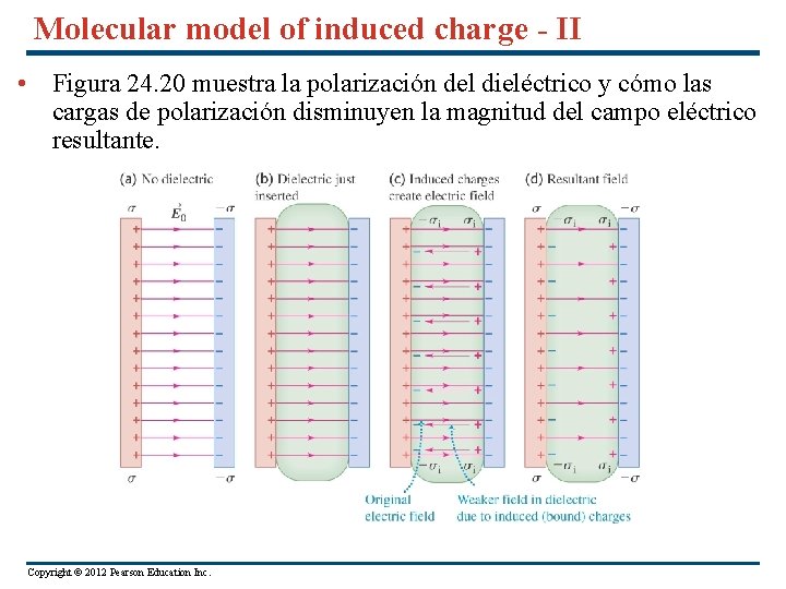 Molecular model of induced charge - II • Figura 24. 20 muestra la polarización