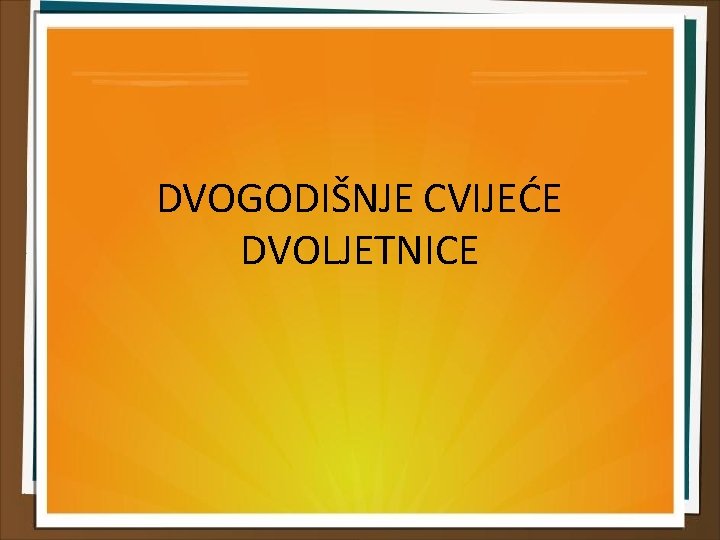 DVOGODIŠNJE CVIJEĆE DVOLJETNICE 