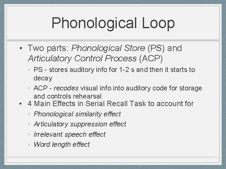 Phonological Loop • Two parts: Phonological Store (PS) and Articulatory Control Process (ACP) •