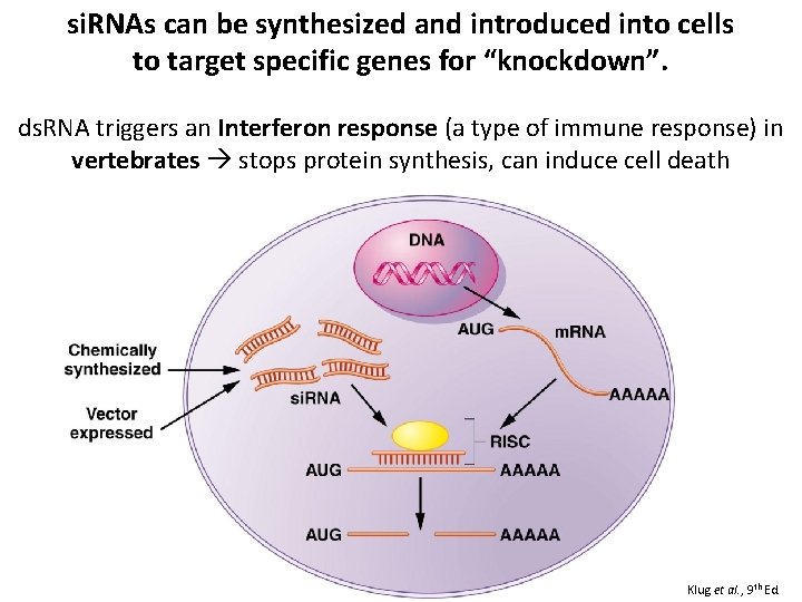 si. RNAs can be synthesized and introduced into cells to target specific genes for