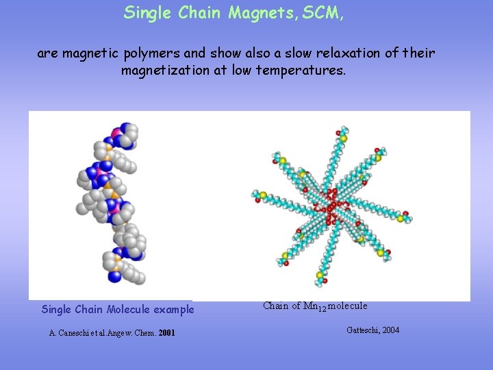 Single Chain Magnets, SCM, are magnetic polymers and show also a slow relaxation of