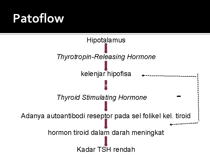 Patoflow Hipotalamus Thyrotropin-Releasing Hormone kelenjar hipofisa v Thyroid Stimulating Hormone - Adanya autoantibodi reseptor