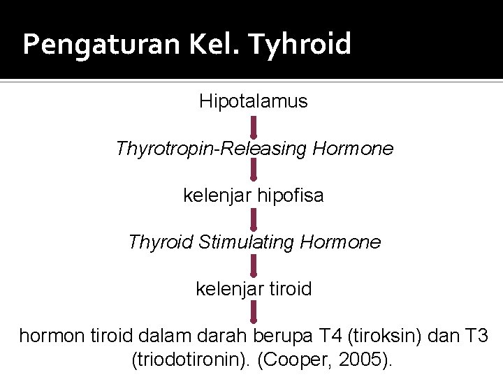 Pengaturan Kel. Tyhroid Hipotalamus Thyrotropin-Releasing Hormone kelenjar hipofisa Thyroid Stimulating Hormone kelenjar tiroid hormon