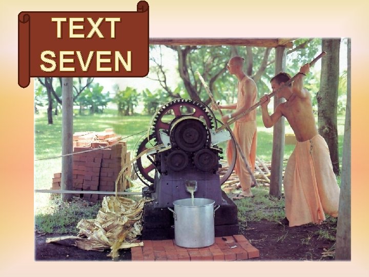 TEXT SEVEN 