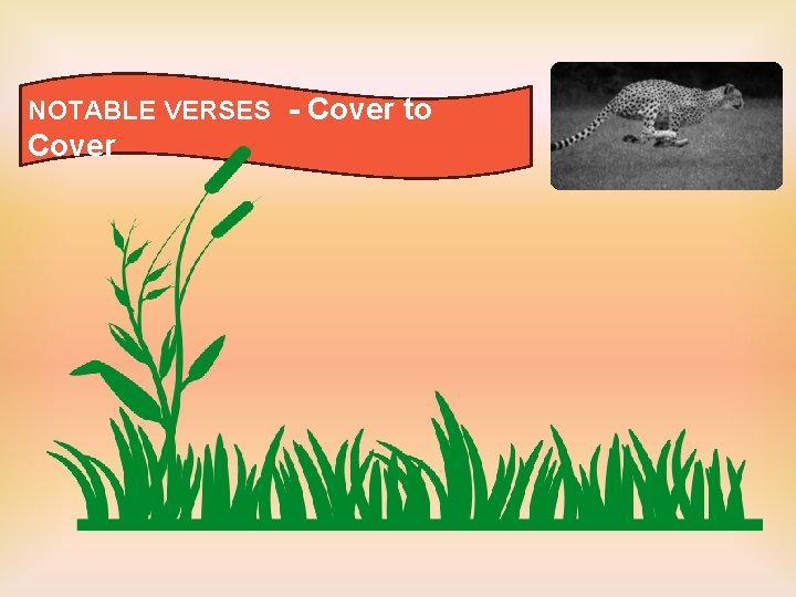 NOTABLE VERSES - Cover to Cover 