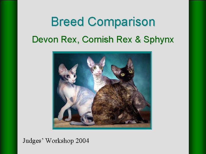 Breed Comparison Devon Rex, Cornish Rex & Sphynx Judges’ Workshop 2004 