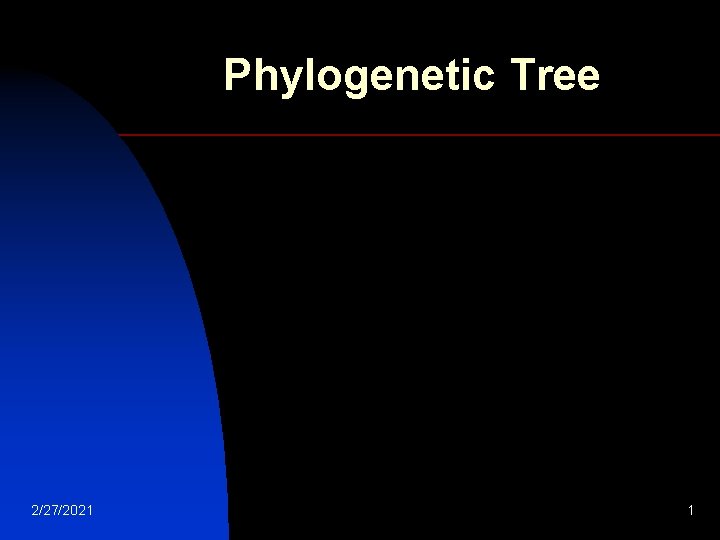 Phylogenetic Tree 2/27/2021 1 