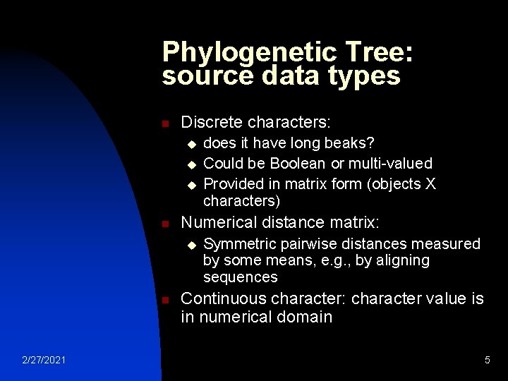 Phylogenetic Tree: source data types n Discrete characters: u u u n Numerical distance