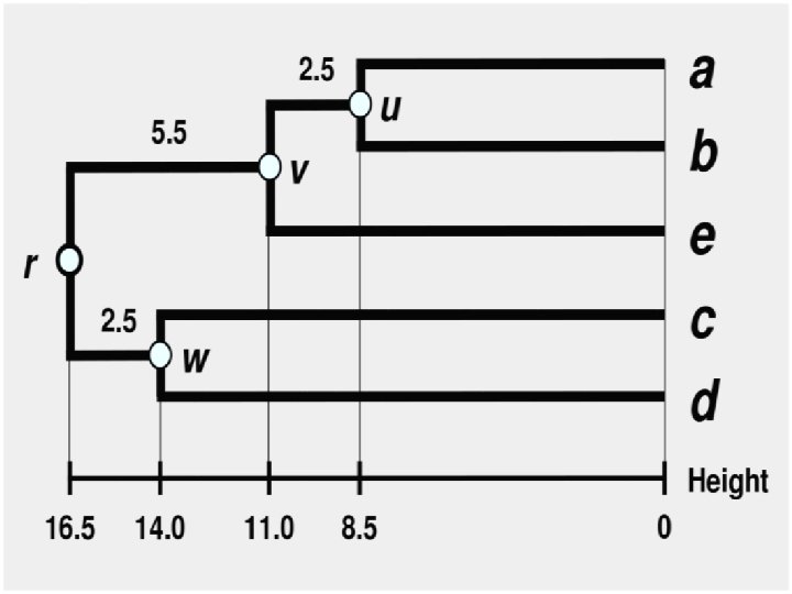 Phylogeny: UPGMA 2/27/2021 52 Phylogeny: UPGMA 2/27/2021 52