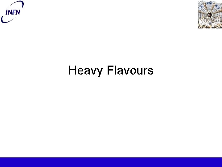 Heavy Flavours 