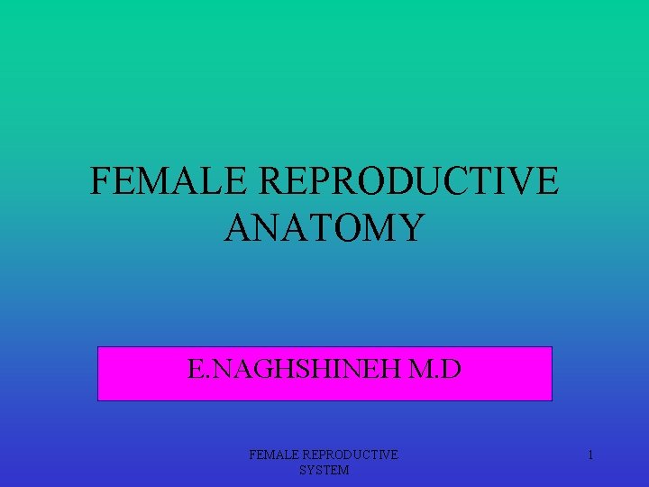 FEMALE REPRODUCTIVE ANATOMY E. NAGHSHINEH M. D FEMALE REPRODUCTIVE SYSTEM 1 