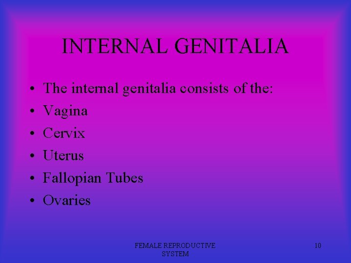 INTERNAL GENITALIA • • • The internal genitalia consists of the: Vagina Cervix Uterus