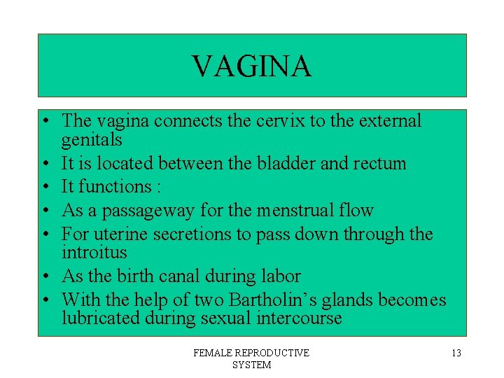 VAGINA • The vagina connects the cervix to the external genitals • It is