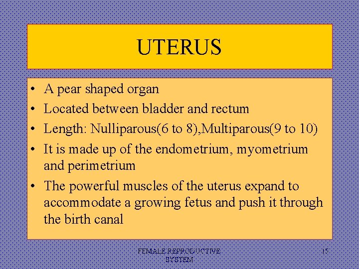 UTERUS • • A pear shaped organ Located between bladder and rectum Length: Nulliparous(6