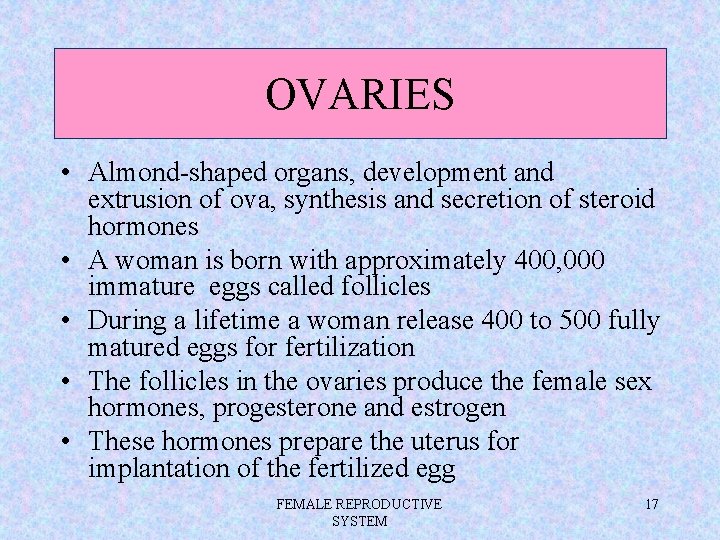 OVARIES • Almond-shaped organs, development and extrusion of ova, synthesis and secretion of steroid