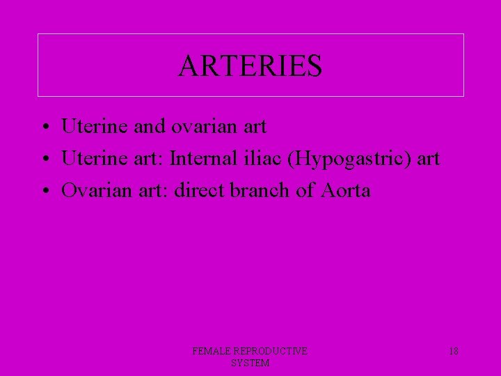 ARTERIES • Uterine and ovarian art • Uterine art: Internal iliac (Hypogastric) art •