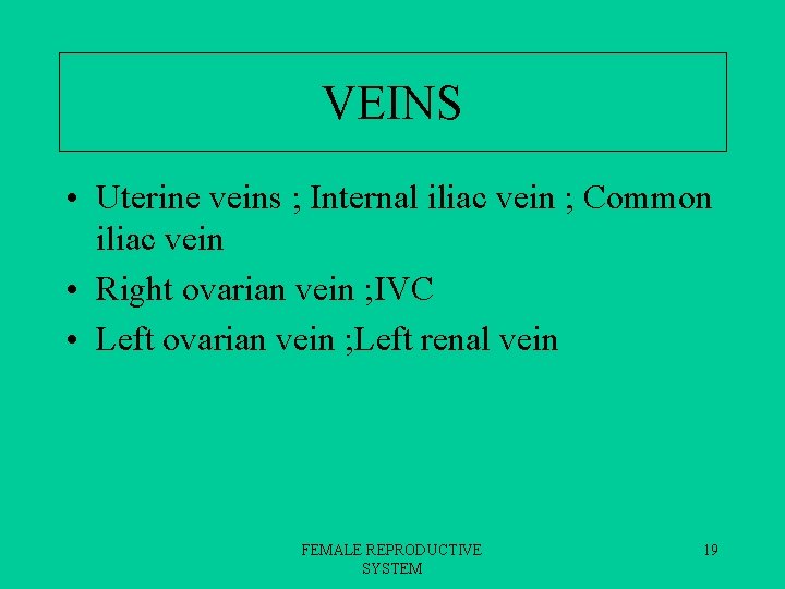 VEINS • Uterine veins ; Internal iliac vein ; Common iliac vein • Right