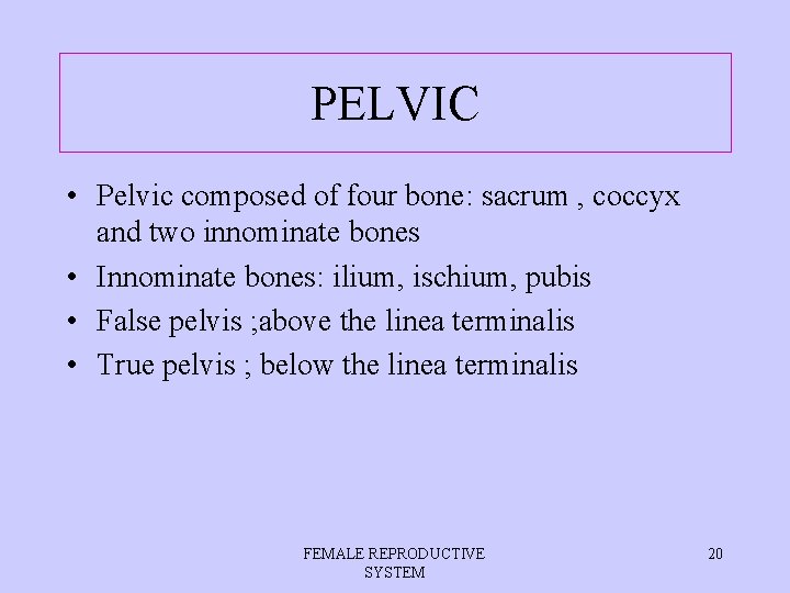 PELVIC • Pelvic composed of four bone: sacrum , coccyx and two innominate bones