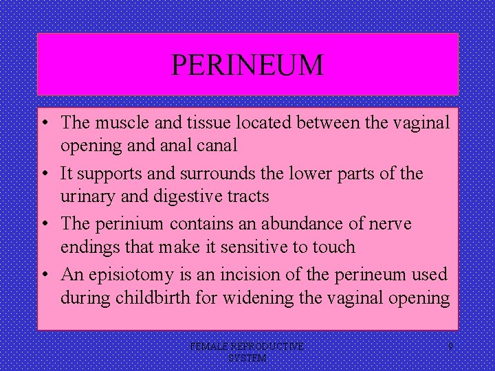 PERINEUM • The muscle and tissue located between the vaginal opening and anal canal