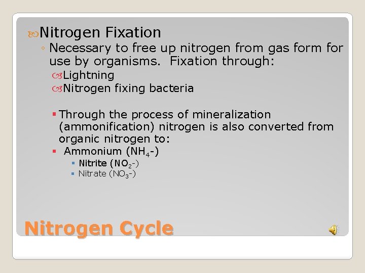  Nitrogen Fixation ◦ Necessary to free up nitrogen from gas form for use