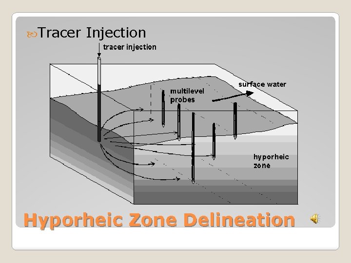 Tracer Injection Hyporheic Zone Delineation 