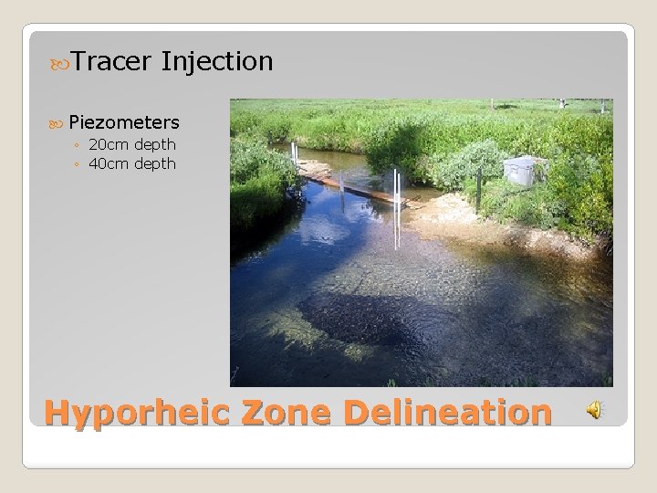  Tracer Injection Piezometers ◦ 20 cm depth ◦ 40 cm depth Hyporheic Zone