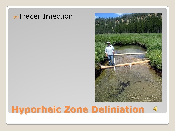  Tracer Injection Hyporheic Zone Deliniation 
