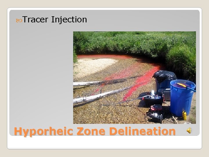  Tracer Injection Hyporheic Zone Delineation 