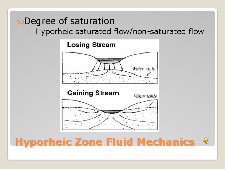  Degree of saturation ◦ Hyporheic saturated flow/non-saturated flow Hyporheic Zone Fluid Mechanics 