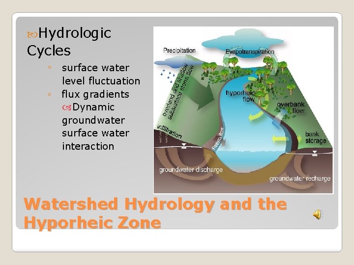  Hydrologic Cycles ◦ surface water ◦ level fluctuation flux gradients Dynamic groundwater surface