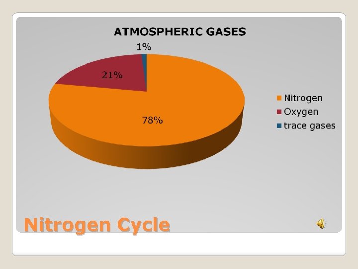 Nitrogen Cycle 