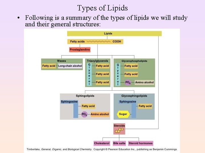 Types of Lipids • Following is a summary of the types of lipids we