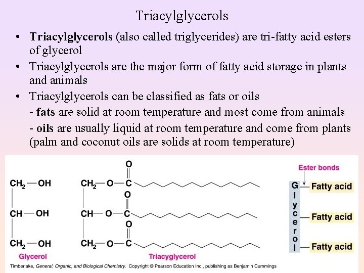 Triacylglycerols • Triacylglycerols (also called triglycerides) are tri-fatty acid esters of glycerol • Triacylglycerols