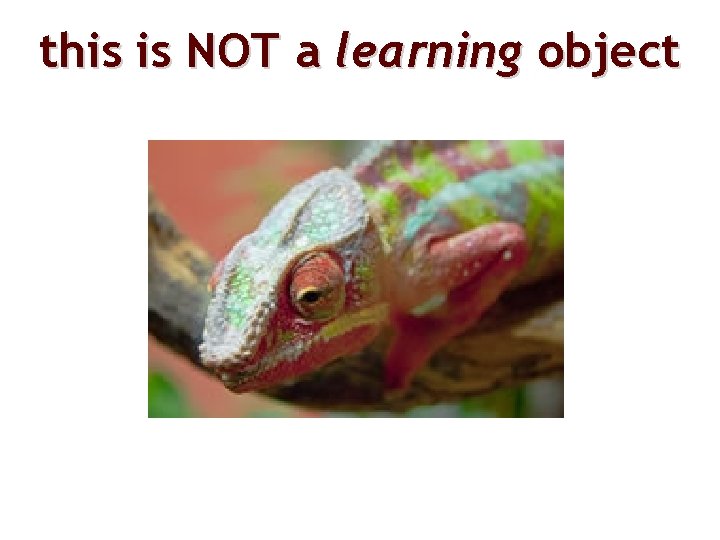 this is NOT a learning object 