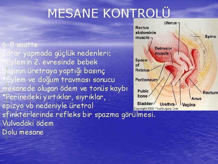 MESANE KONTROLÜ 6 -8 saatte İdrar yapmada güçlük nedenleri; *Eylemin 2. evresinde bebek başının