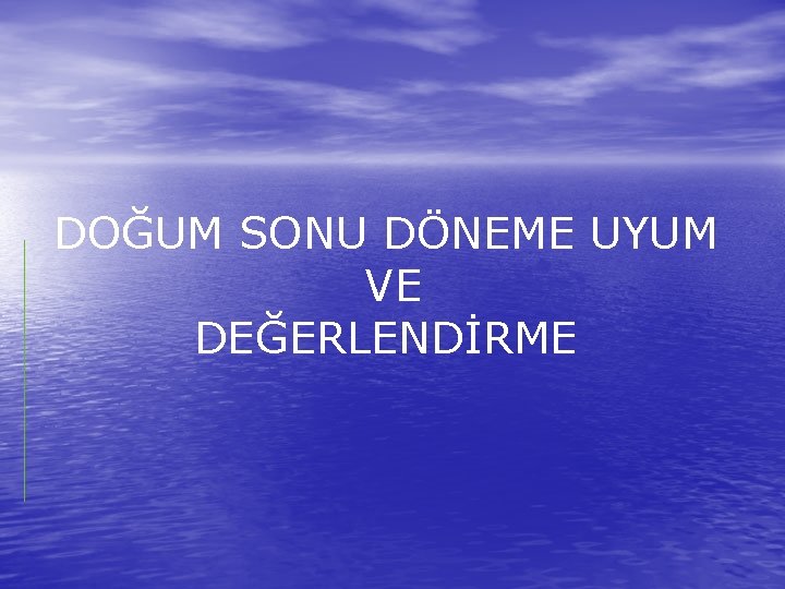 DOĞUM SONU DÖNEME UYUM VE DEĞERLENDİRME 