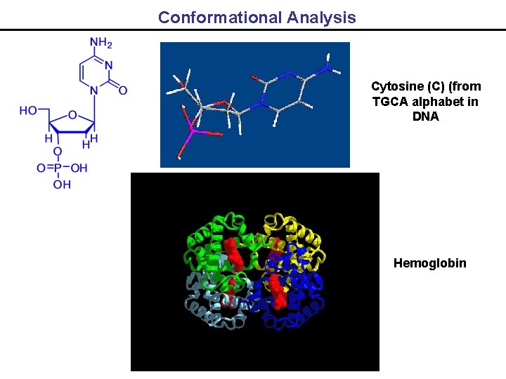 Conformational Analysis Cytosine (C) (from TGCA alphabet in DNA Hemoglobin 