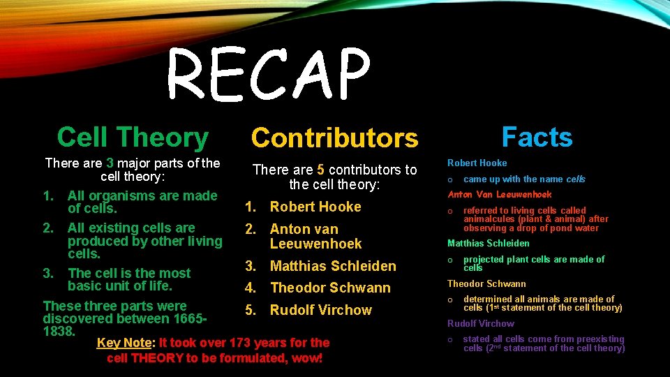 RECAP Cell Theory Contributors There are 3 major parts of the cell theory: 1.