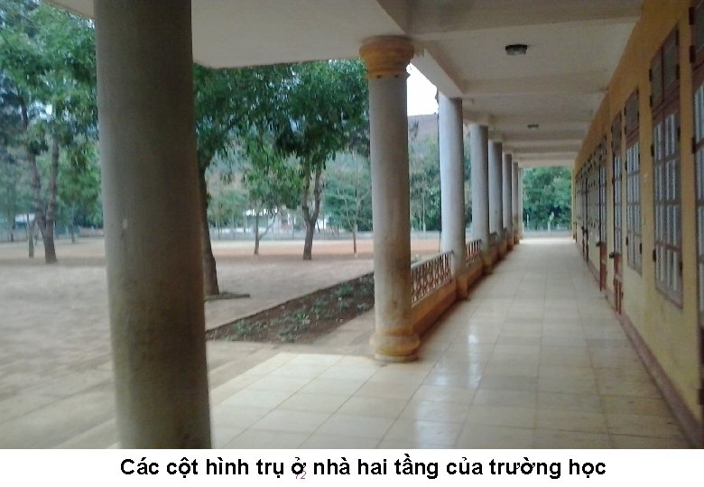 Các cột hình trụ ở 12 nhà hai tầng của trường học 