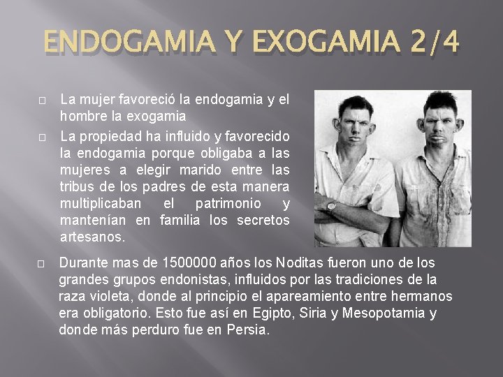 ENDOGAMIA Y EXOGAMIA 2/4 � � � La mujer favoreció la endogamia y el