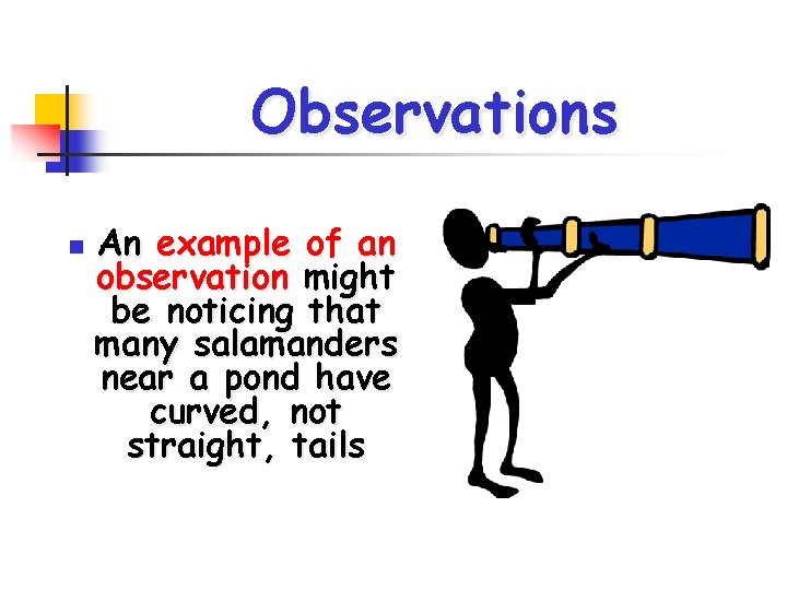Observations n An example of an observation might be noticing that many salamanders near
