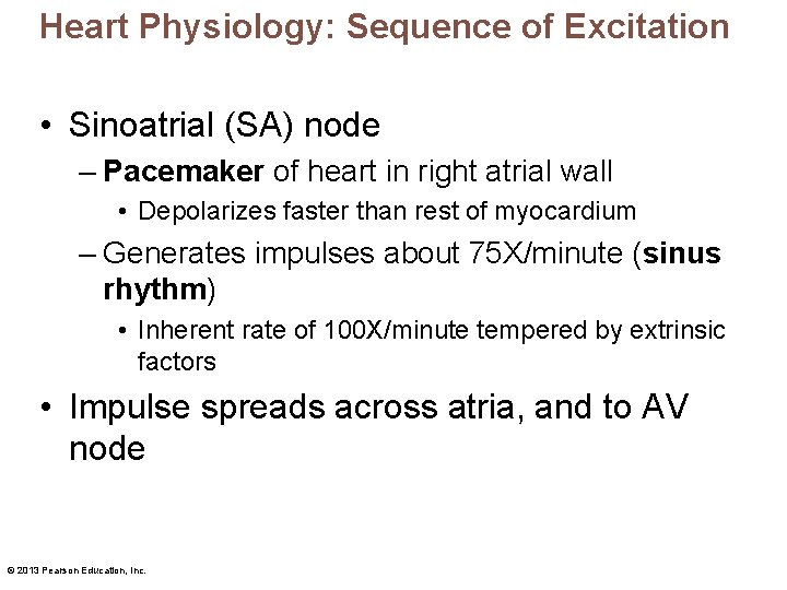 Heart Physiology: Sequence of Excitation • Sinoatrial (SA) node – Pacemaker of heart in